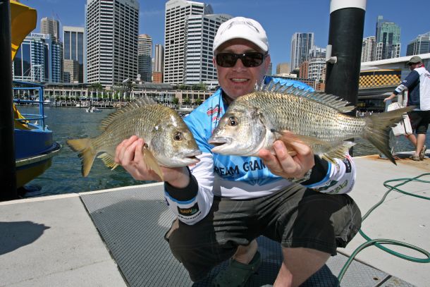 Are bream getting bigger?